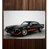 Металлическая табличка Chevrolet Camaro Z28 118
